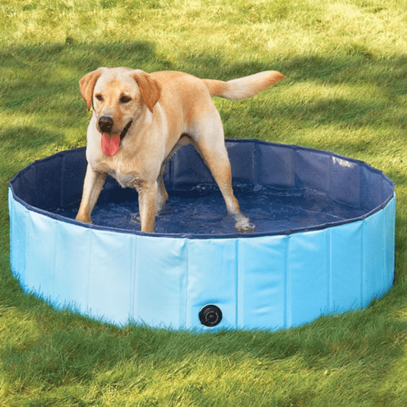 PawSwim - Collapsible Dog Swimming Pool