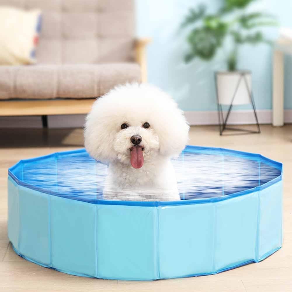 PawSwim - Collapsible Dog Swimming Pool