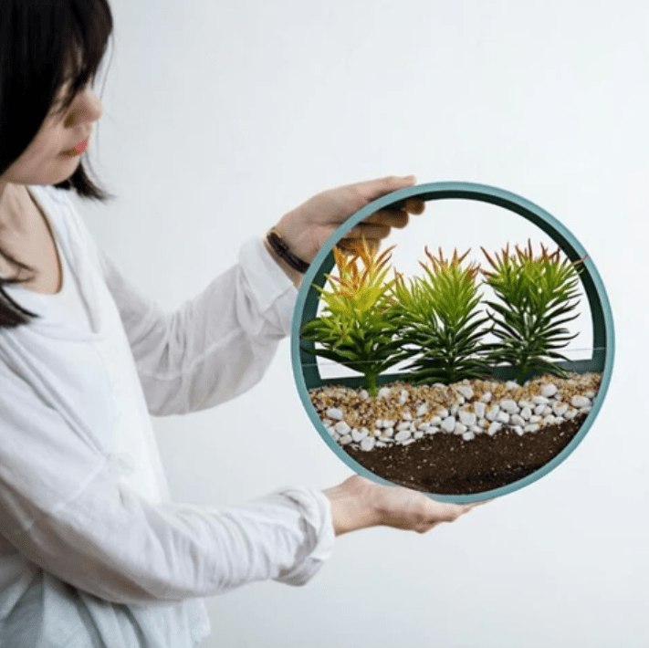 WallVee - Creative Round Wall Mounted Vase