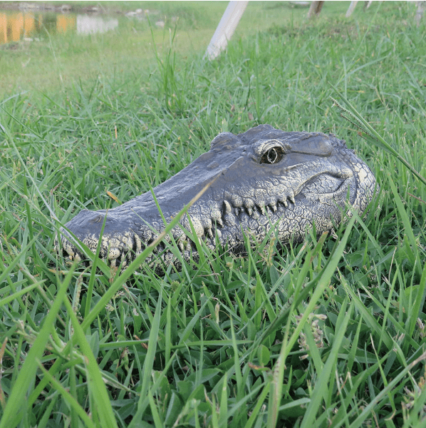 Crocodile Head Remote Control  Boat