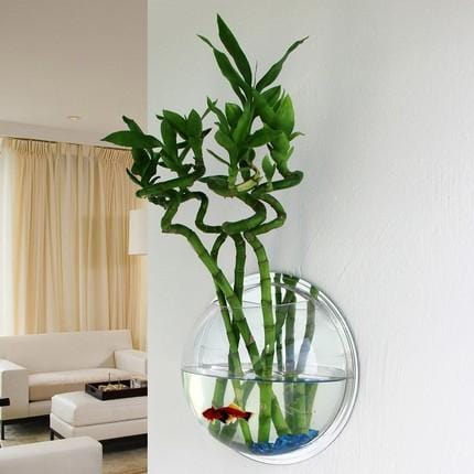 Wallium - Wall Mounted Acrylic Fish Bowl