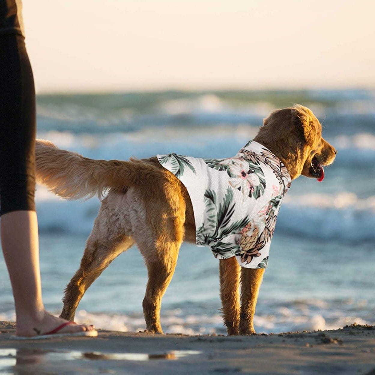 AlohaPet - Summer Hawaiian Dog Shirt