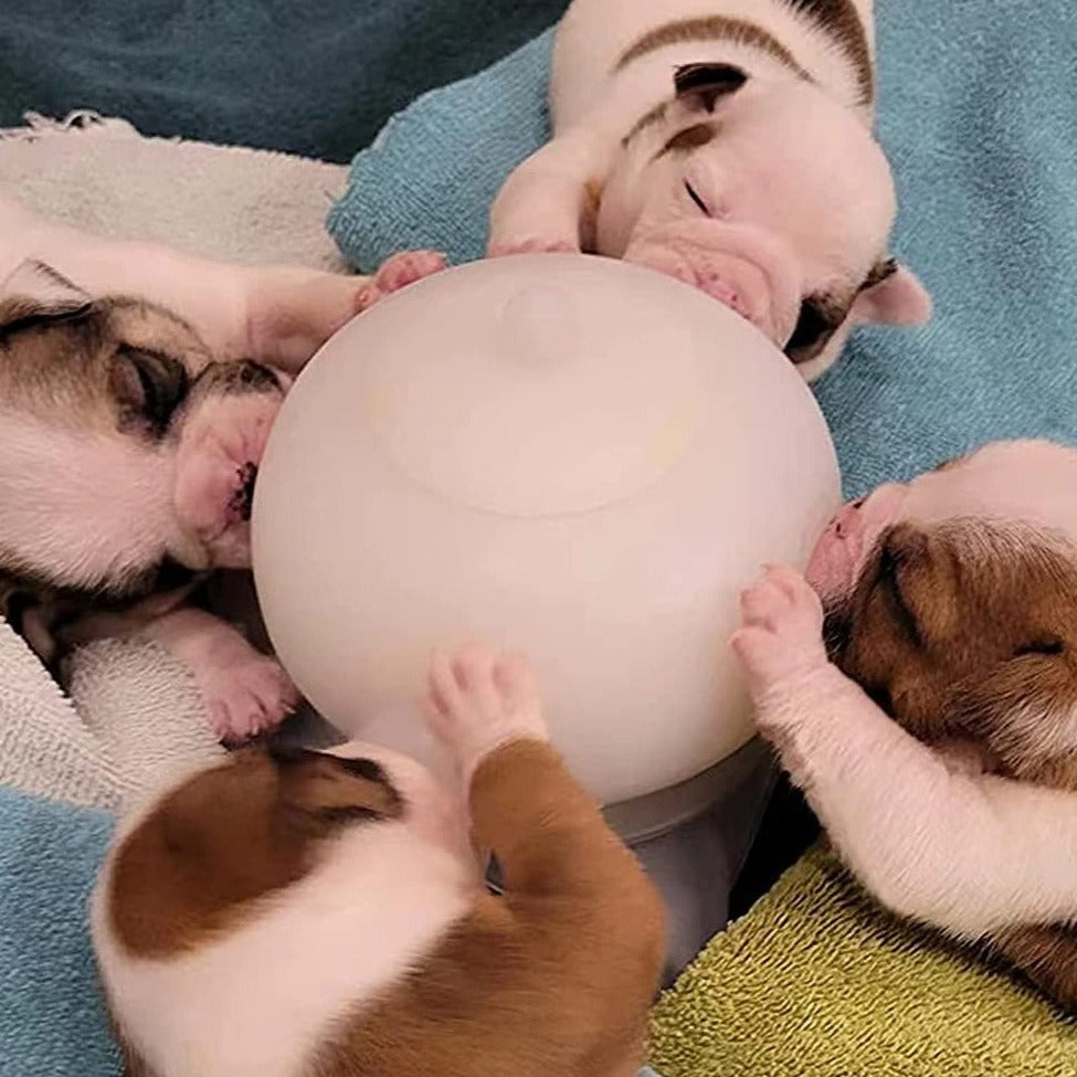 NippleBowl - Puppy Bubble Milk Feeder