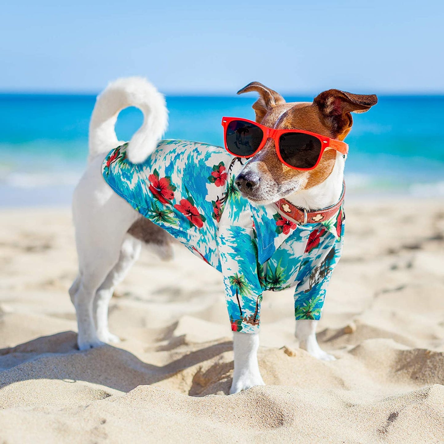 AlohaPet - Summer Hawaiian Dog Shirt