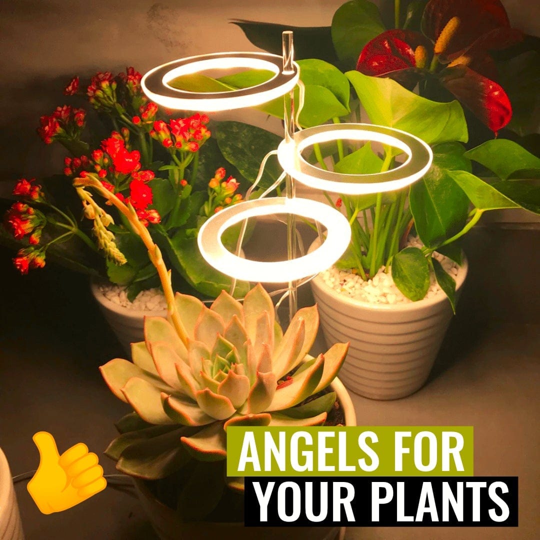 PlantHalo - Indoor Plant Grow Light