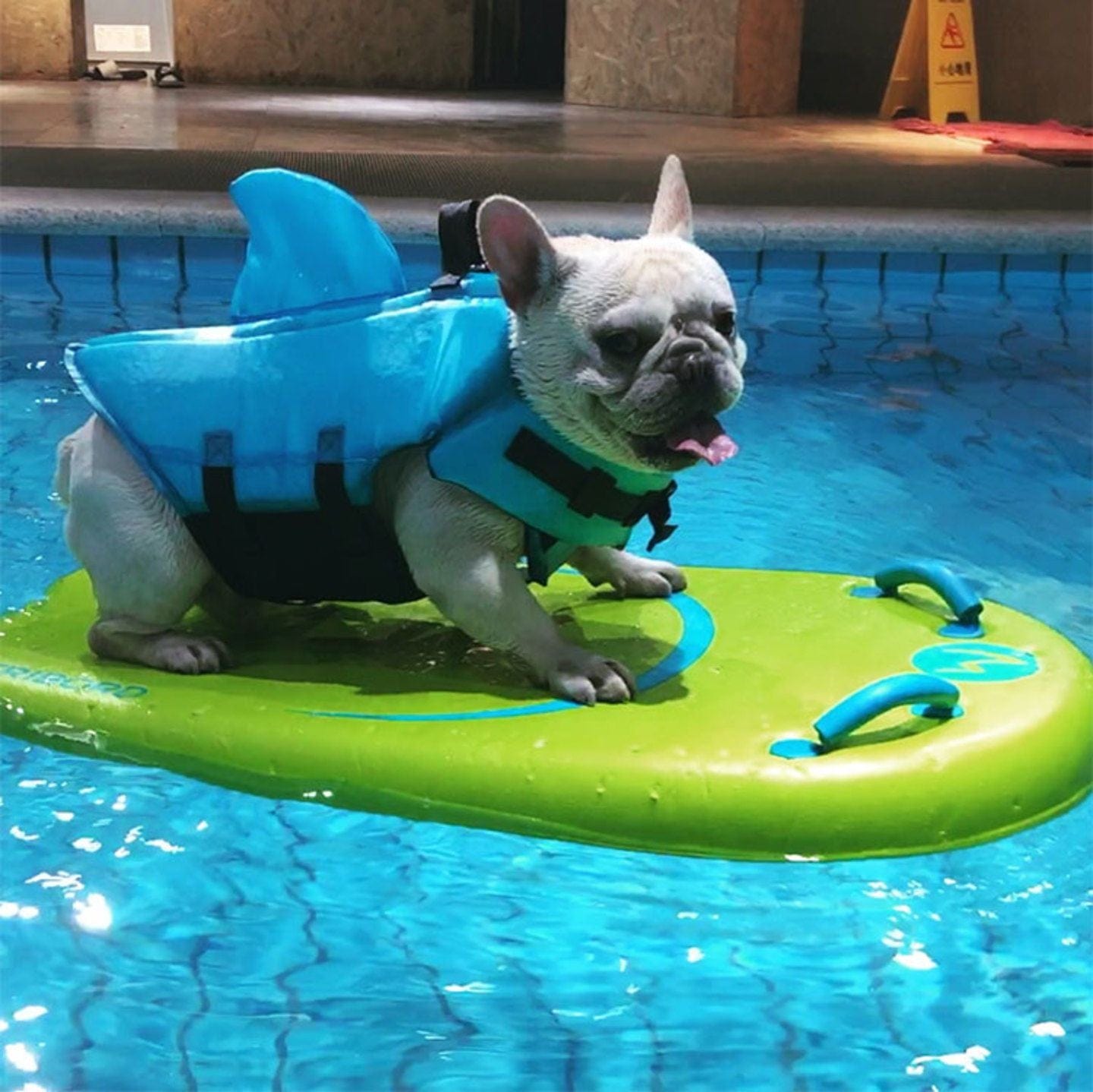 FurShark - Shark's Fin Dog Safety Life Jacket