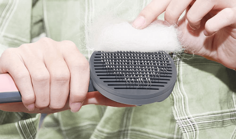 Pet Brush