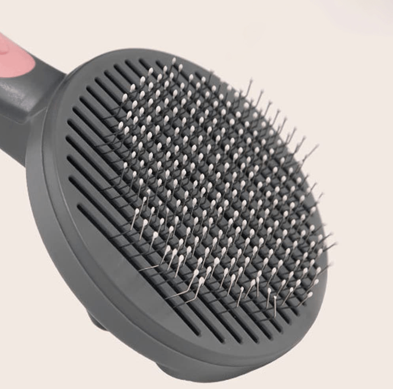 Pet Brush