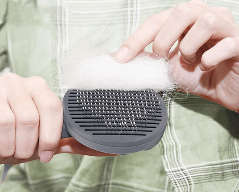 Pet Brush