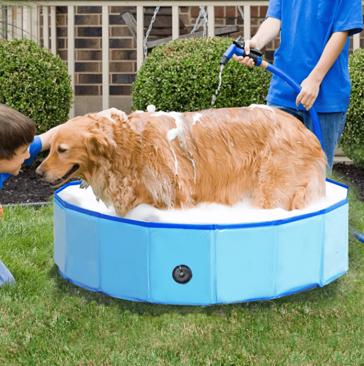 PawSwim - Collapsible Dog Swimming Pool