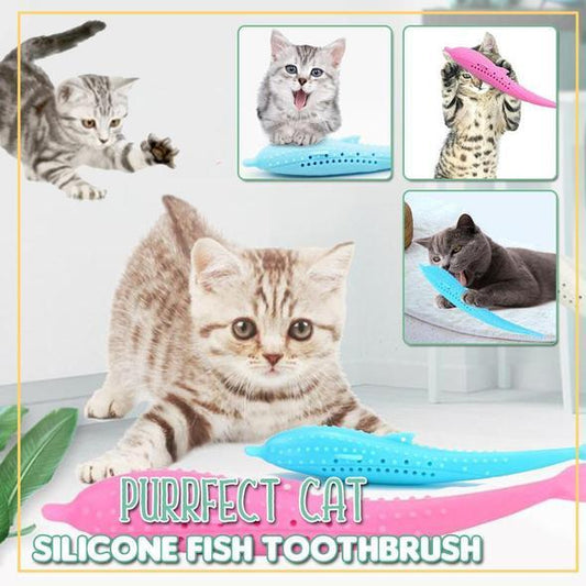 Purfect Teeth - Catnip Filled Silicone Fish Toothbrush