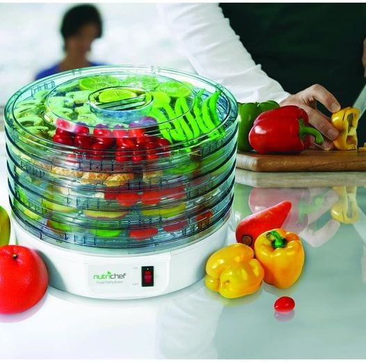 Electric Food Dehydrator Machine