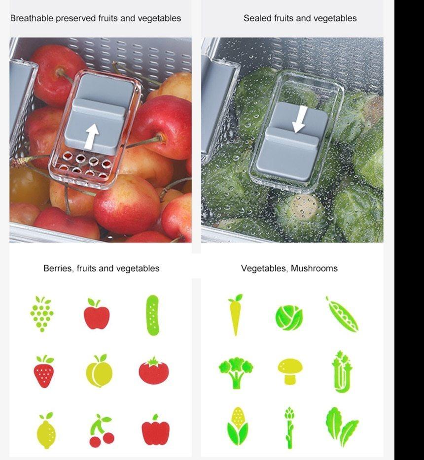 FreshKeep - Multifunctional Produce Fresh Keeping Storage Box