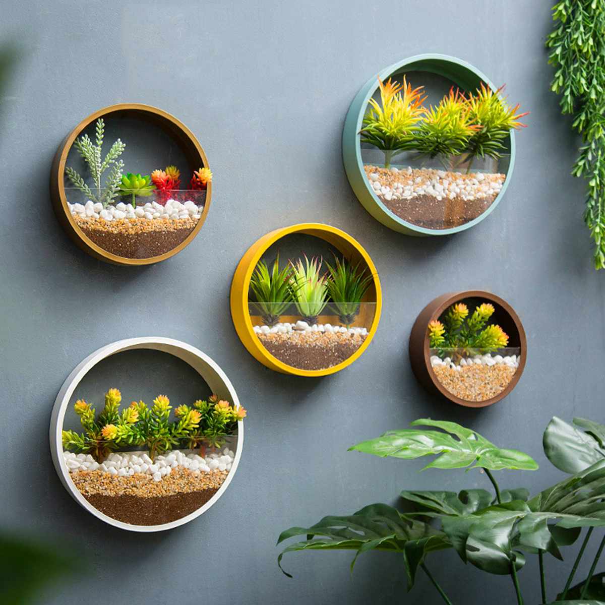 WallVee - Creative Round Wall Mounted Vase