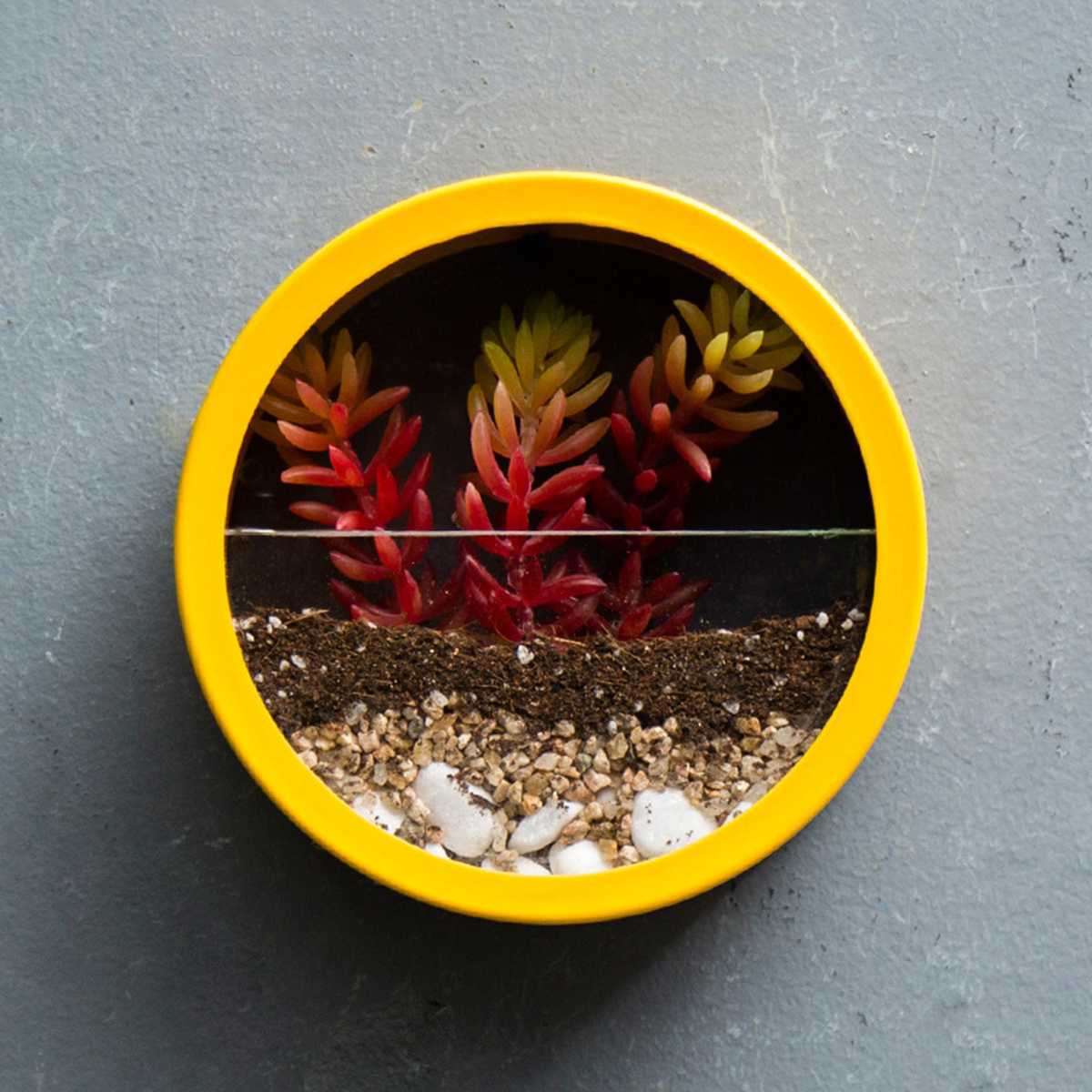 WallVee - Creative Round Wall Mounted Vase