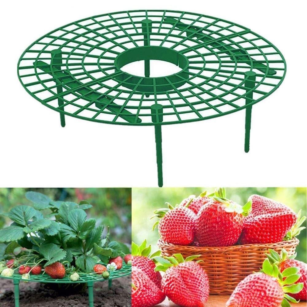 Berrylife - Strawberry Planting Frame