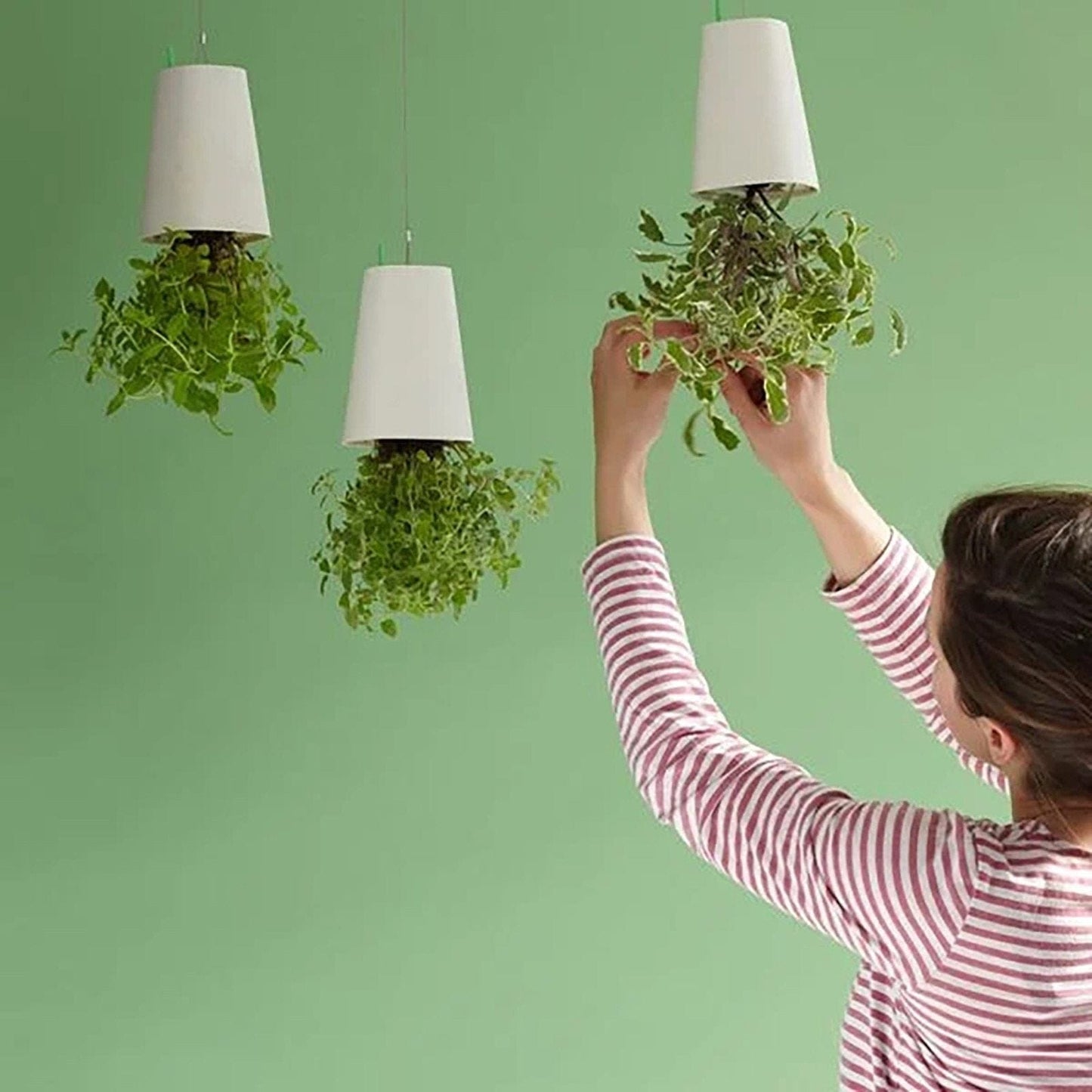 Sky Garden - Creative Upside Down Self Watering Sky Planting Pot