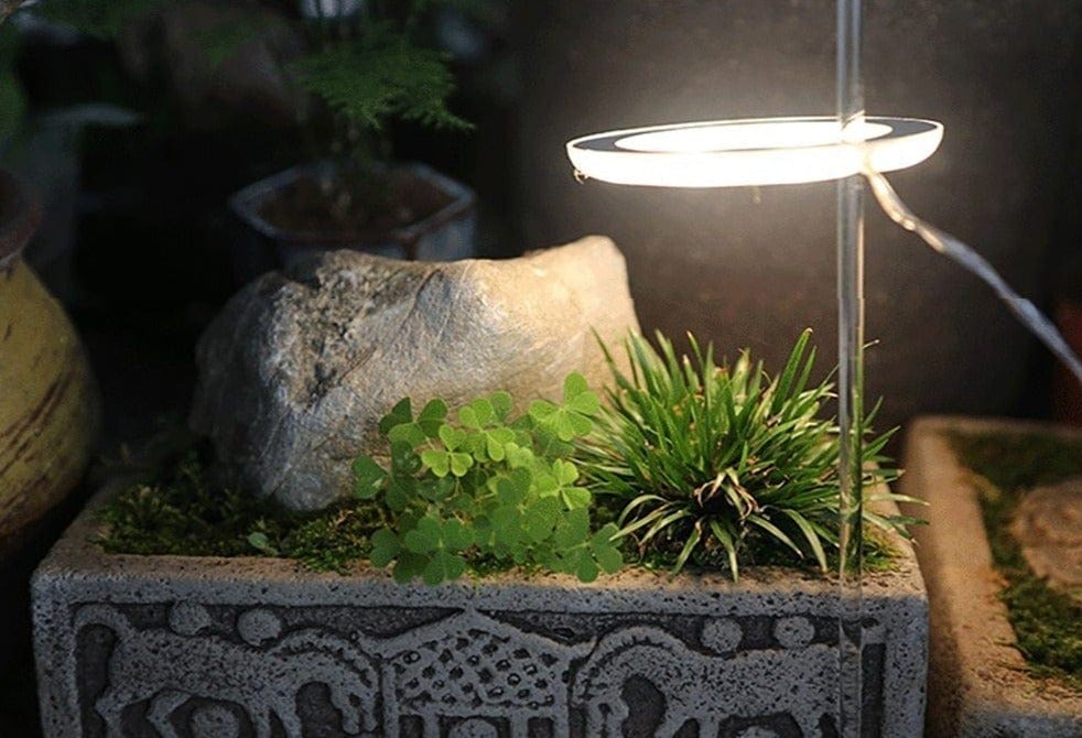 PlantHalo - Indoor Plant Grow Light