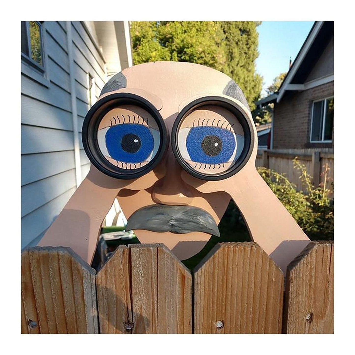 Lookouts - Nosy Old Neighbors Fence Art