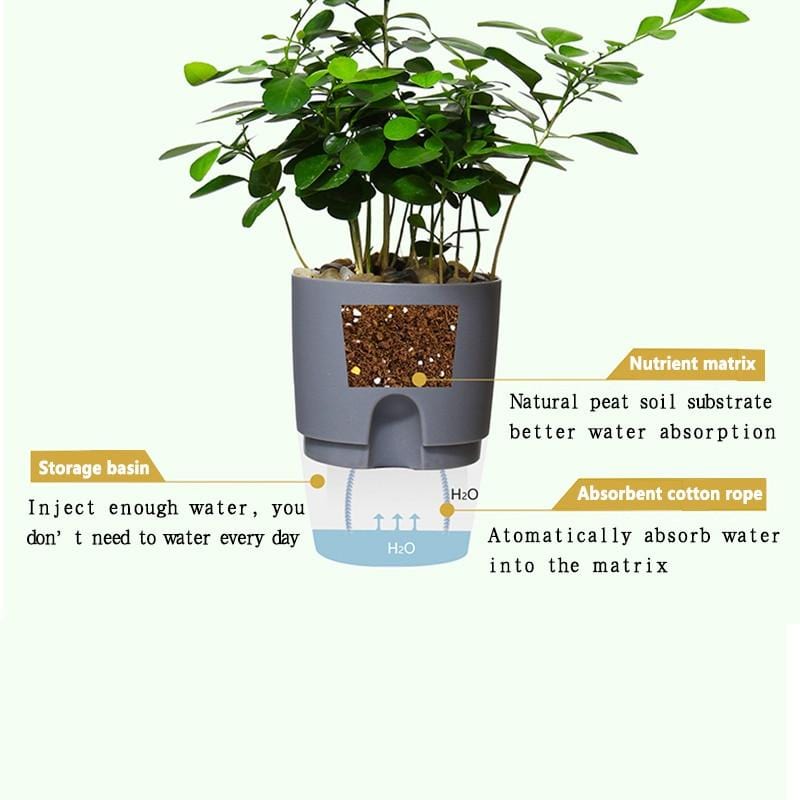 HydroBloom - Hydroponic Self Watering Flowerpot