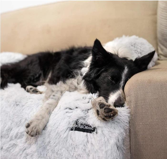 Sofurbed - Comfy Pet Sofa Calming Bed