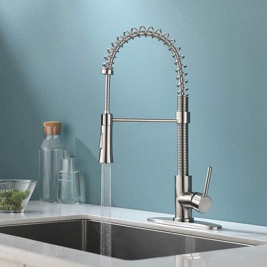 Kitchen Faucet w/ Pull Down Sprayer