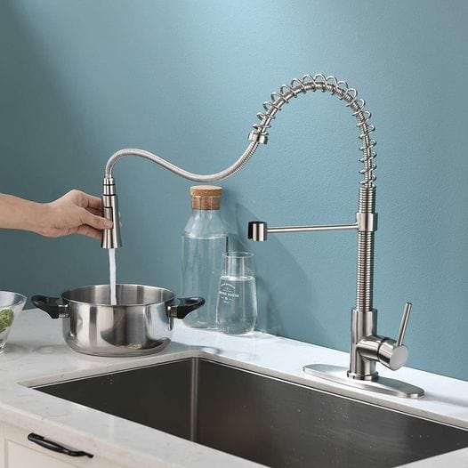 Kitchen Faucet w/ Pull Down Sprayer